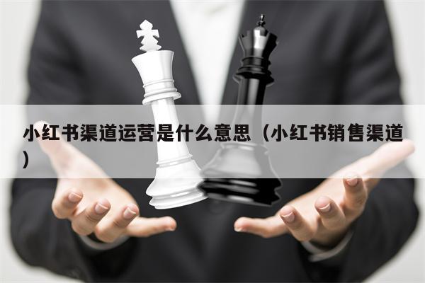 小红书渠道运营是什么意思（小红书销售渠道）