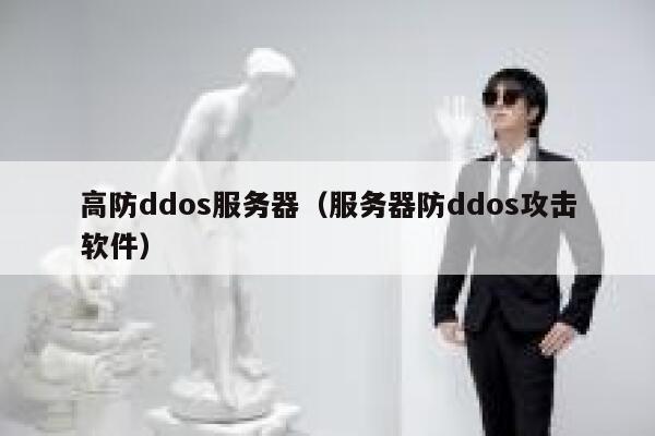 高防ddos服务器（服务器防ddos攻击软件）