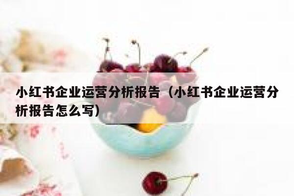 小红书企业运营分析报告（小红书企业运营分析报告怎么写）