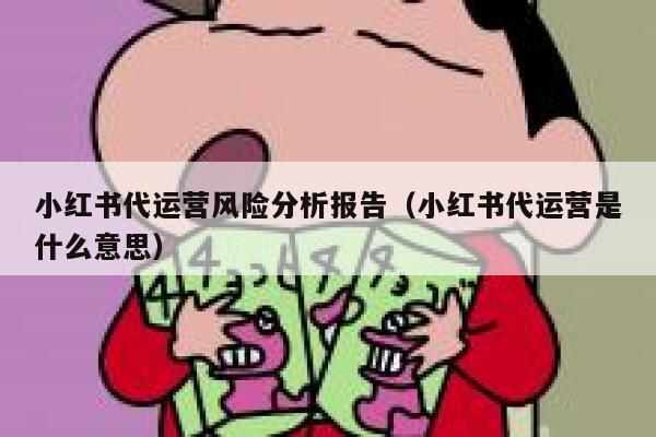 小红书代运营风险分析报告（小红书代运营是什么意思）