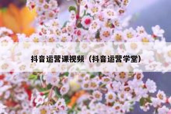 抖音运营课视频（抖音运营学堂）