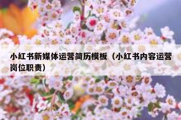 小红书新媒体运营简历模板（小红书内容运营岗位职责）