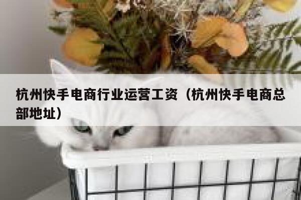 杭州快手电商行业运营工资（杭州快手电商总部地址）