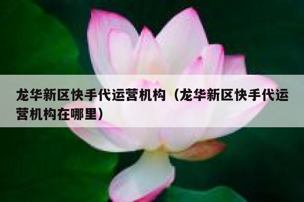 龙华新区快手代运营机构（龙华新区快手代运营机构在哪里）