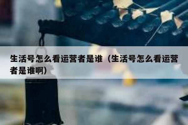 生活号怎么看运营者是谁（生活号怎么看运营者是谁啊）