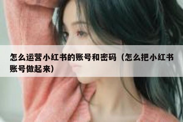 怎么运营小红书的账号和密码（怎么把小红书账号做起来）