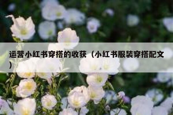 运营小红书穿搭的收获（小红书服装穿搭配文）