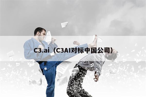 C3.ai（C3AI对标中国公司）