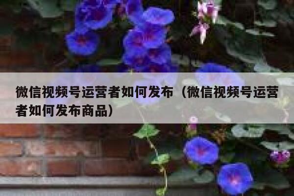 微信视频号运营者如何发布（微信视频号运营者如何发布商品）