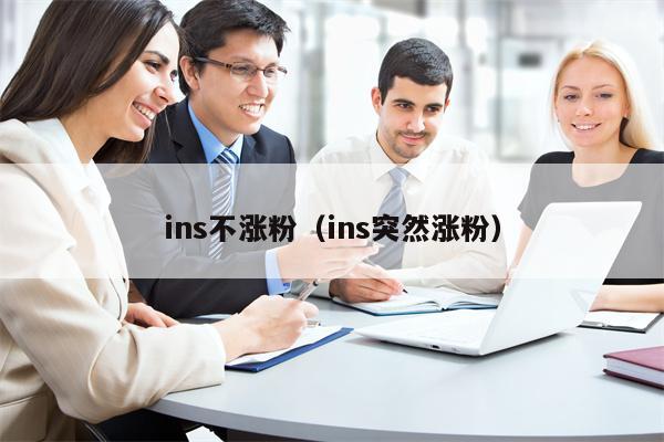 ins不涨粉（ins突然涨粉）