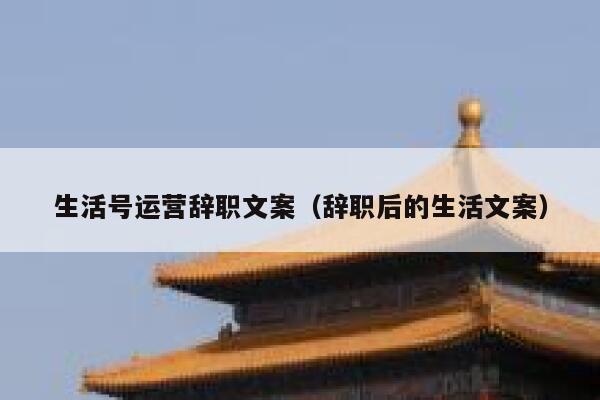 生活号运营辞职文案（辞职后的生活文案）