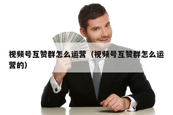 视频号互赞群怎么运营（视频号互赞群怎么运营的）