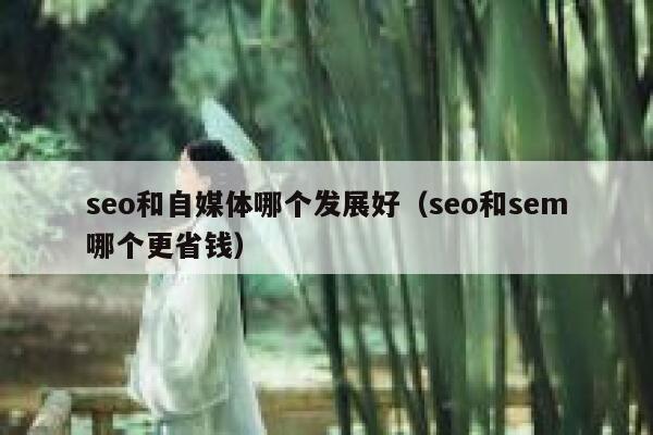 seo和自媒体哪个发展好（seo和sem哪个更省钱）