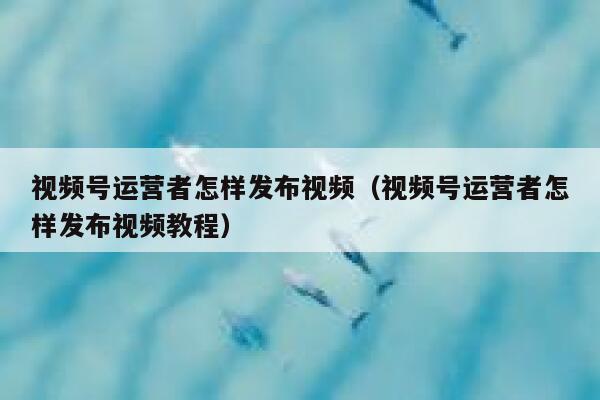 视频号运营者怎样发布视频（视频号运营者怎样发布视频教程）