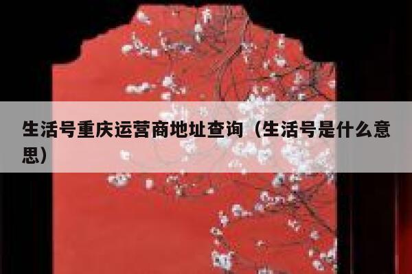 生活号重庆运营商地址查询（生活号是什么意思）