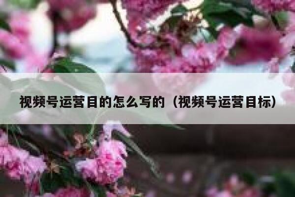 视频号运营目的怎么写的（视频号运营目标）