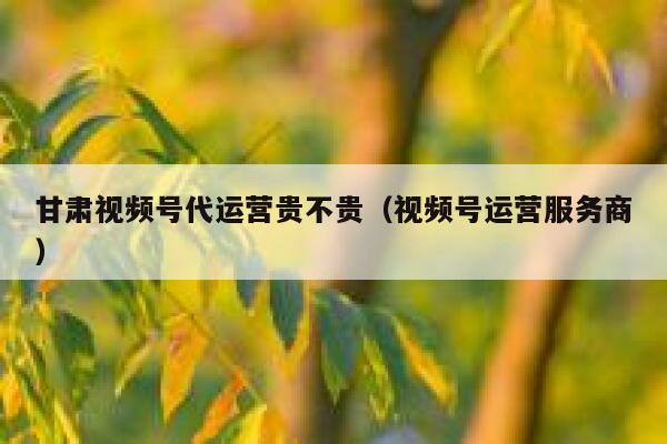 甘肃视频号代运营贵不贵（视频号运营服务商）