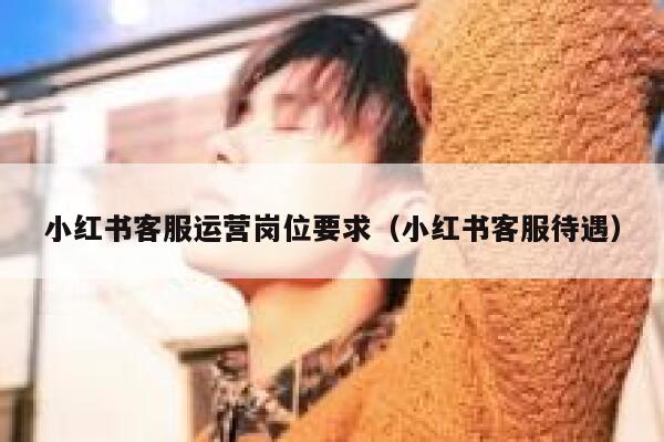 小红书客服运营岗位要求（小红书客服待遇）