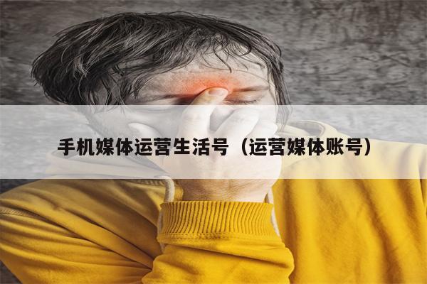 手机媒体运营生活号（运营媒体账号）