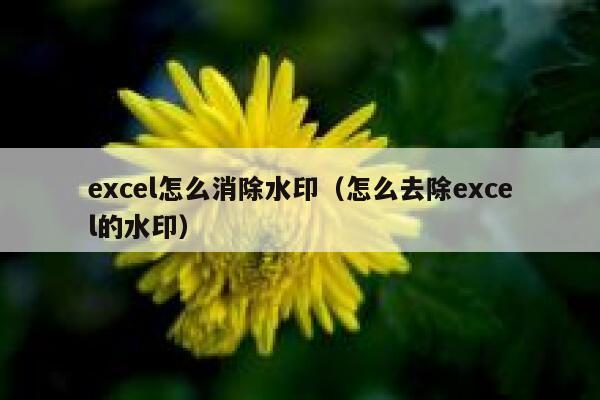 excel怎么消除水印（怎么去除excel的水印）