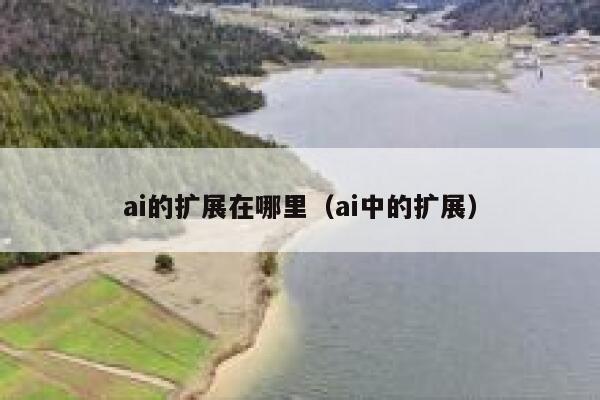 ai的扩展在哪里（ai中的扩展）