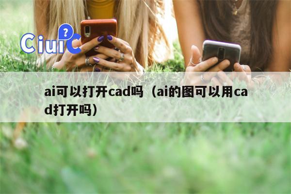 ai可以打开cad吗（ai的图可以用cad打开吗）