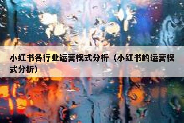 小红书各行业运营模式分析（小红书的运营模式分析）