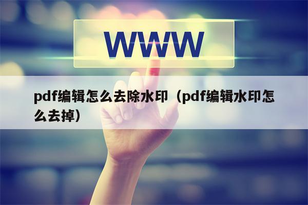 pdf编辑怎么去除水印（pdf编辑水印怎么去掉）