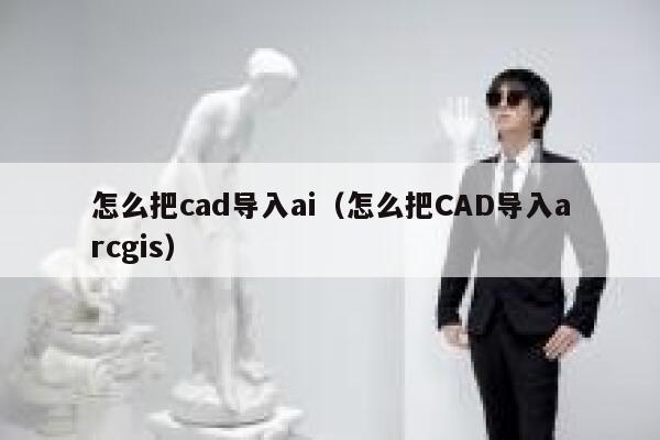 怎么把cad导入ai（怎么把CAD导入arcgis）