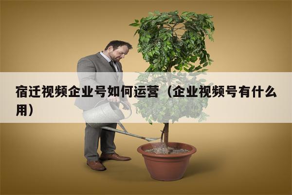 宿迁视频企业号如何运营（企业视频号有什么用）