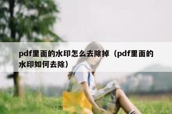 pdf里面的水印怎么去除掉（pdf里面的水印如何去除）