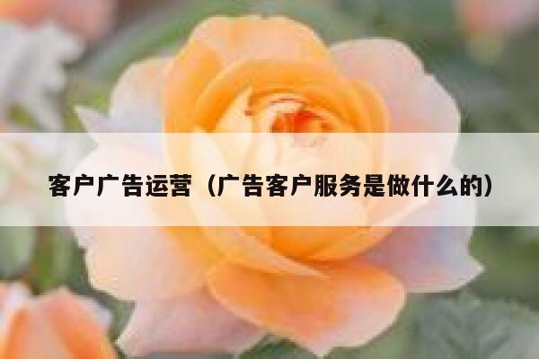 客户广告运营（广告客户服务是做什么的）