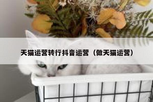 天猫运营转行抖音运营（做天猫运营）