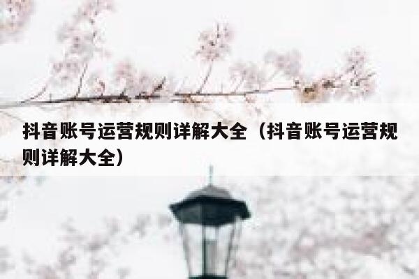 抖音账号运营规则详解大全（抖音账号运营规则详解大全）