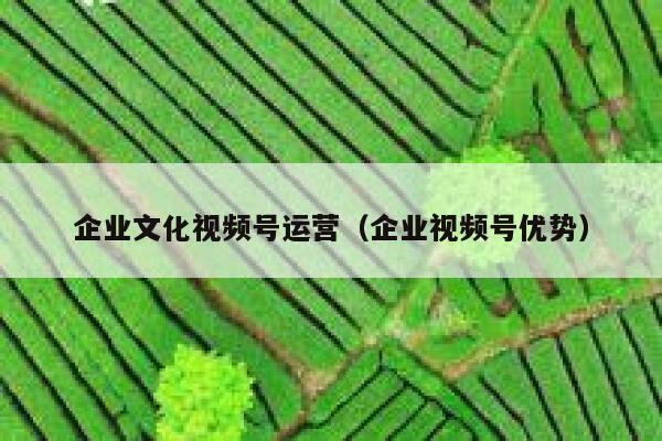 企业文化视频号运营（企业视频号优势）