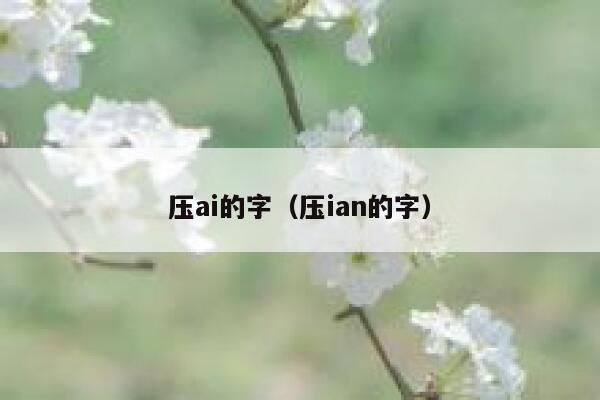 压ai的字（压ian的字）