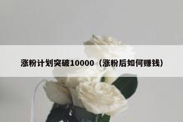 涨粉计划突破10000（涨粉后如何赚钱）