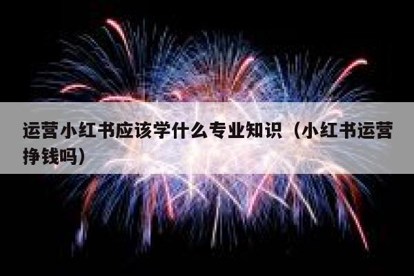 运营小红书应该学什么专业知识（小红书运营挣钱吗）