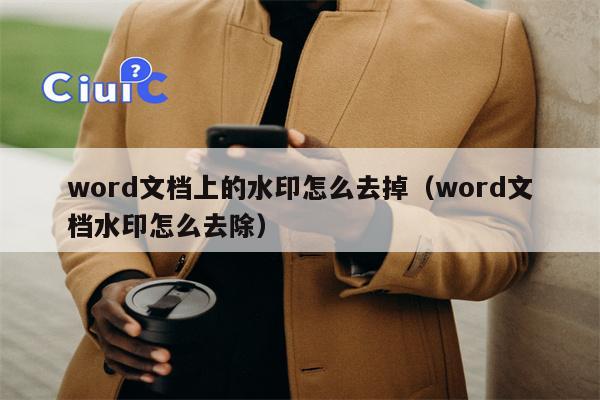 word文档上的水印怎么去掉（word文档水印怎么去除）