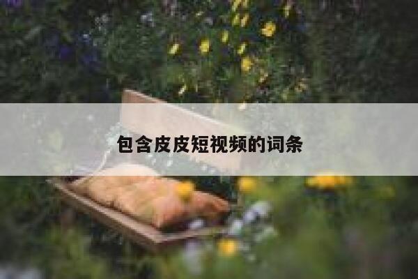 包含皮皮短视频的词条