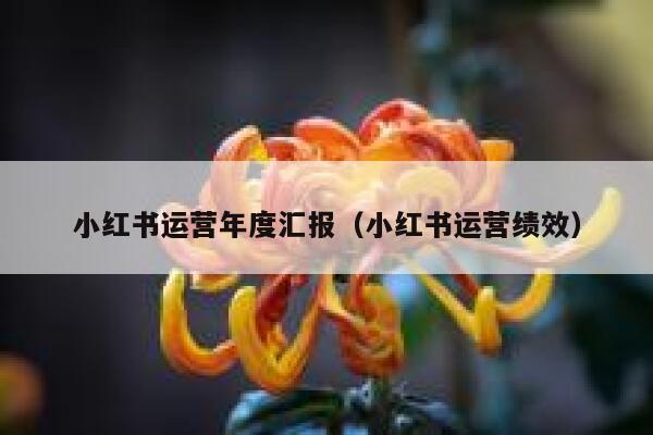 小红书运营年度汇报（小红书运营绩效）