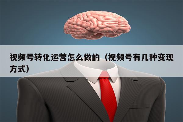 视频号转化运营怎么做的（视频号有几种变现方式）