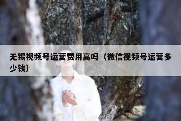 无锡视频号运营费用高吗（微信视频号运营多少钱）