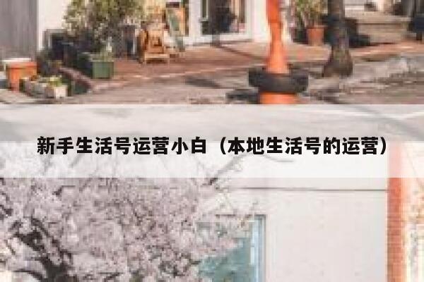 新手生活号运营小白（本地生活号的运营）