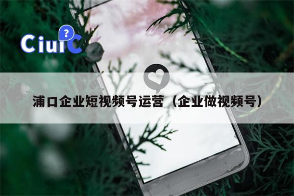 浦口企业短视频号运营（企业做视频号）