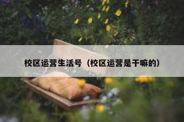 校区运营生活号（校区运营是干嘛的）