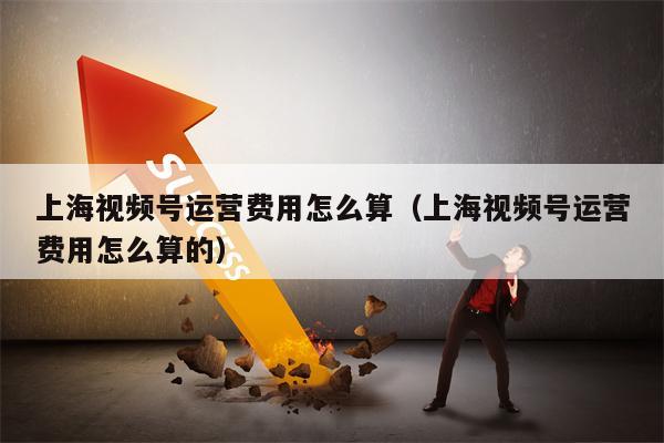 上海视频号运营费用怎么算（上海视频号运营费用怎么算的）