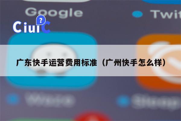 广东快手运营费用标准（广州快手怎么样）