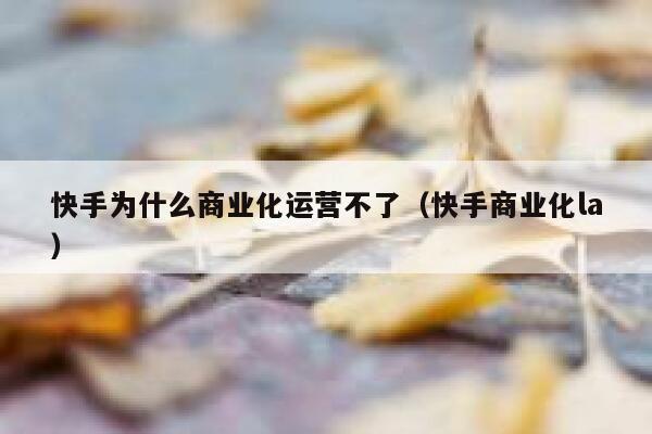 快手为什么商业化运营不了（快手商业化la）