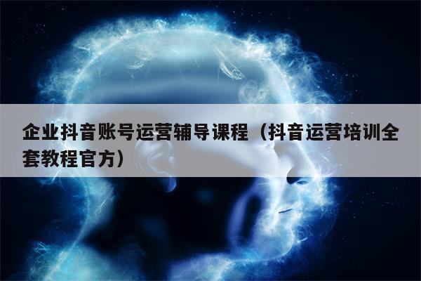 企业抖音账号运营辅导课程（抖音运营培训全套教程官方）